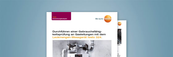 Anwendungsbeispiel Gebrauchsfähigkeitsprüfung