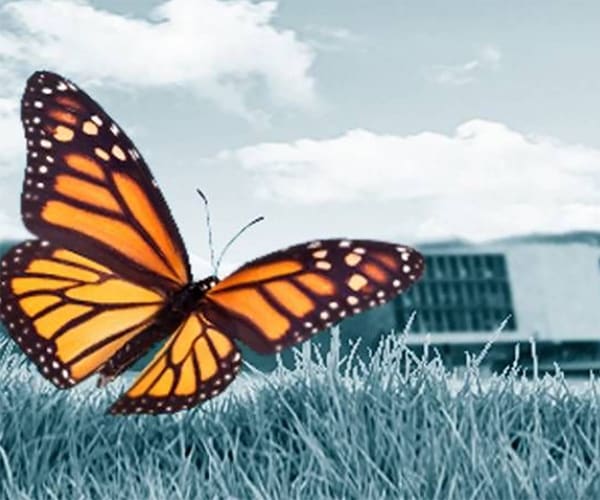  Nachhaltigkeit bei Testo