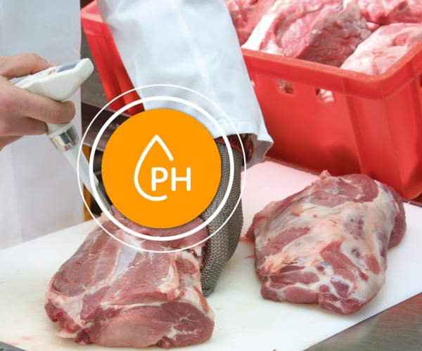 Tecnologia di misura per alimenti conforme alle regole HACCP