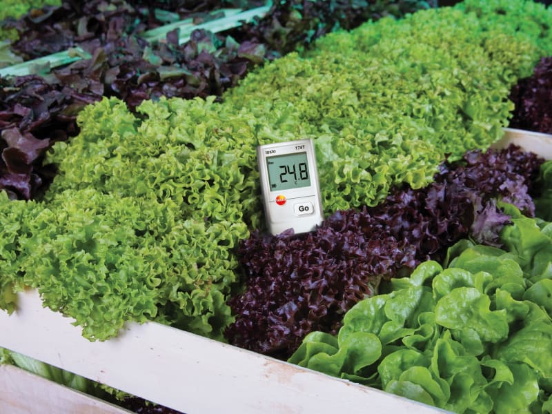 Temperature measurement in food
