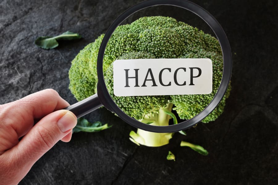 HACCP terimi ile büyüteç altında brokoli