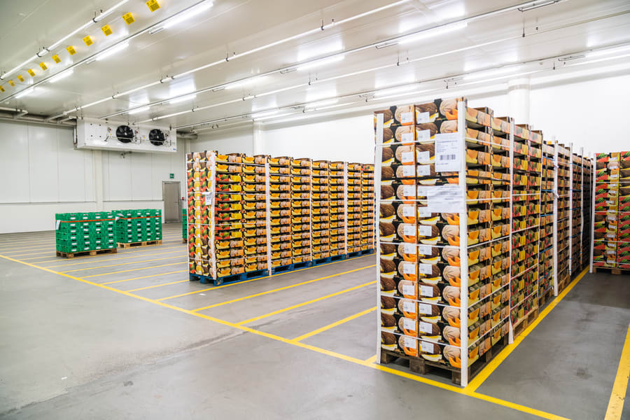 Magazyn