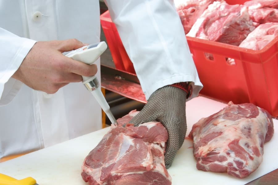 pH measurement in the food industry