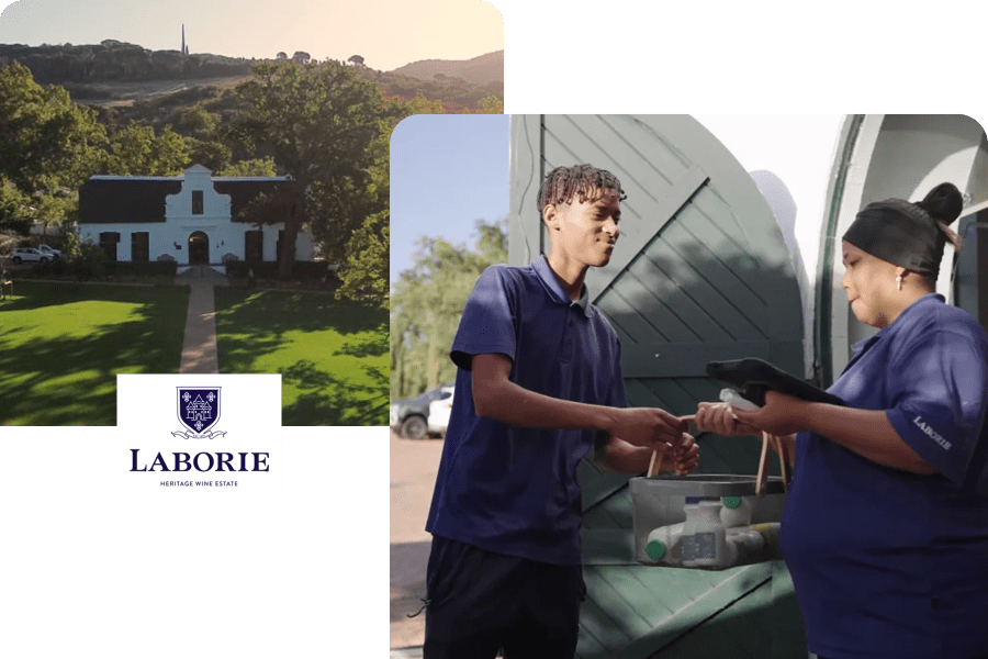 Laborie winery South Africa