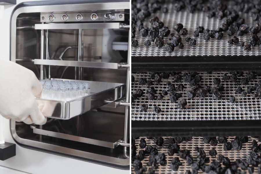 Freeze-drying / lyophilisation