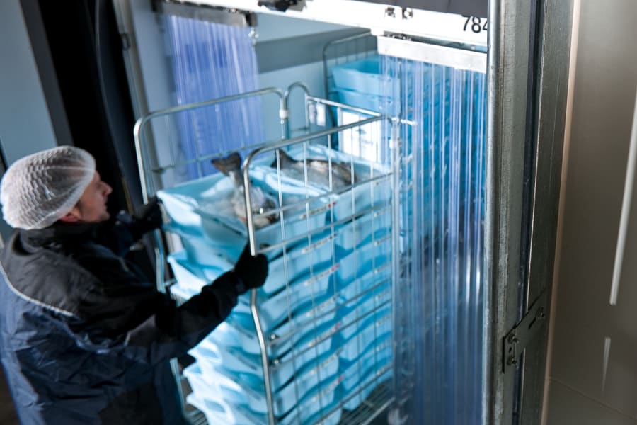 Temperature measurement