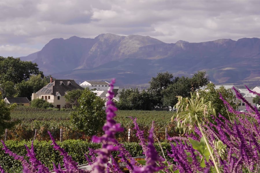 Laborie Şaraphanesi