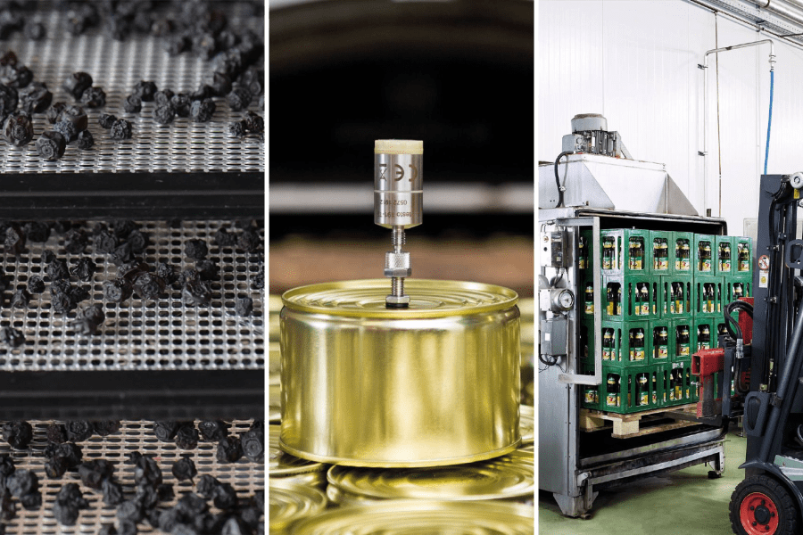 Sterilisation, Pasteurisierung und Gefriertrocknung