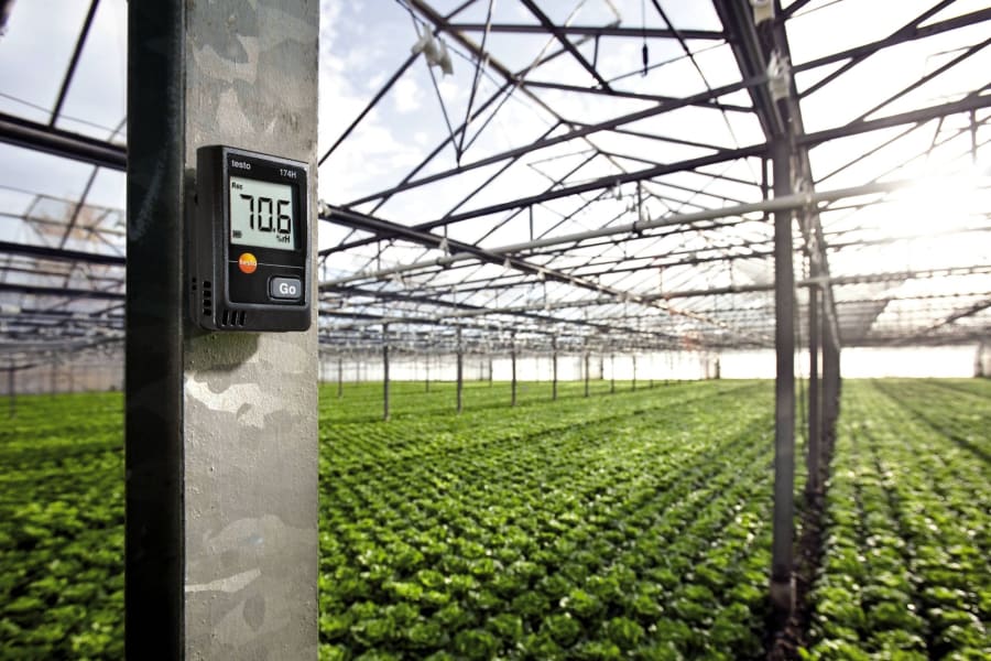 Testo humidity measurement