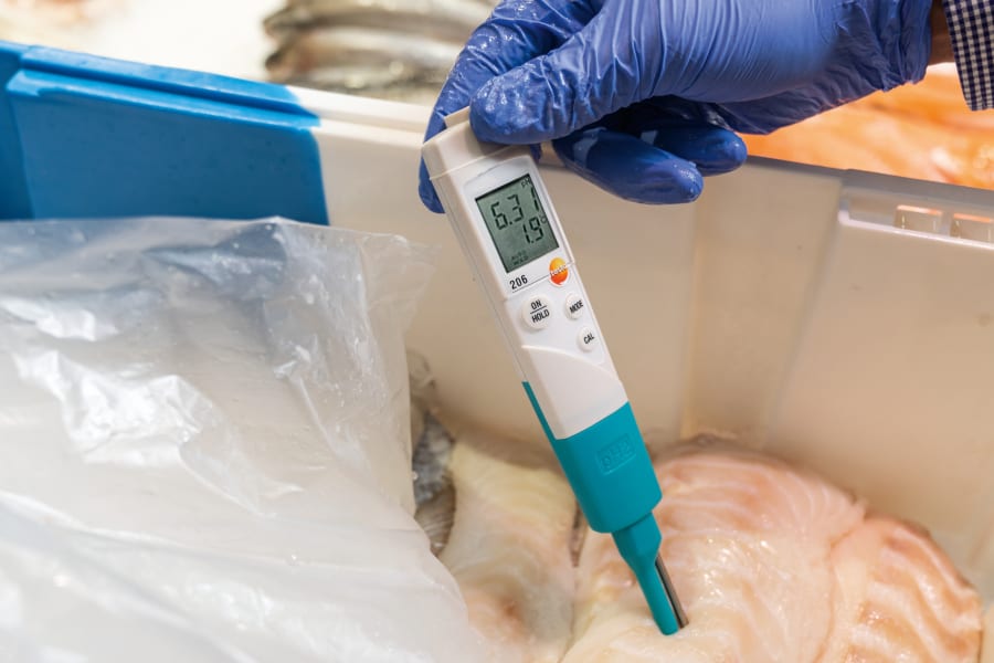 pH-Wert von Lebensmitteln besitmmen mit pH-Messgerät testo 206