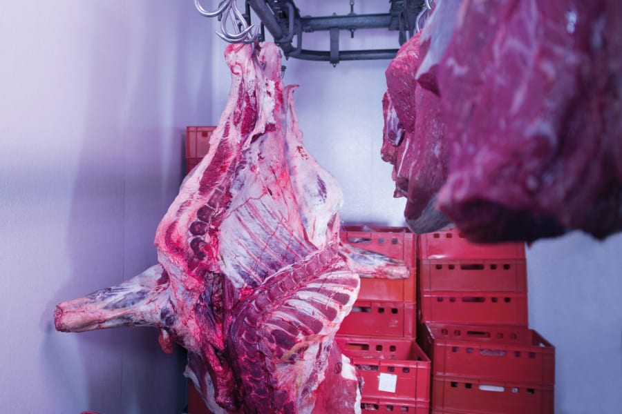 Temperature monitoring in a butcher's shop