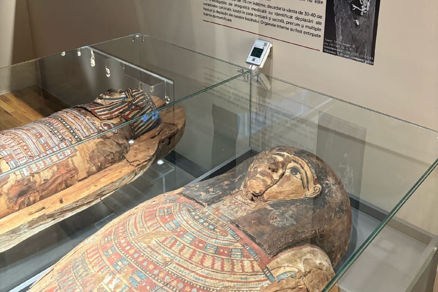 testo 160 - for museums and archives