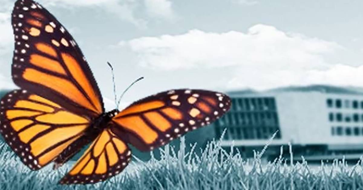 Sustainability at Testo | Green IT, E-Mobility & Resources