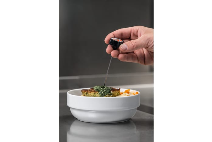 application testo mini thermometer