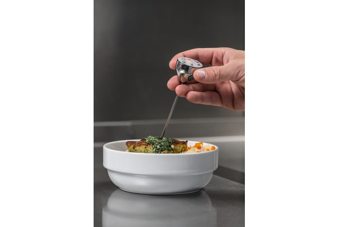 application testo mini thermometer