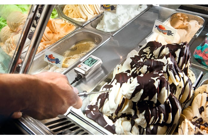 testo 175 T2 datalogger