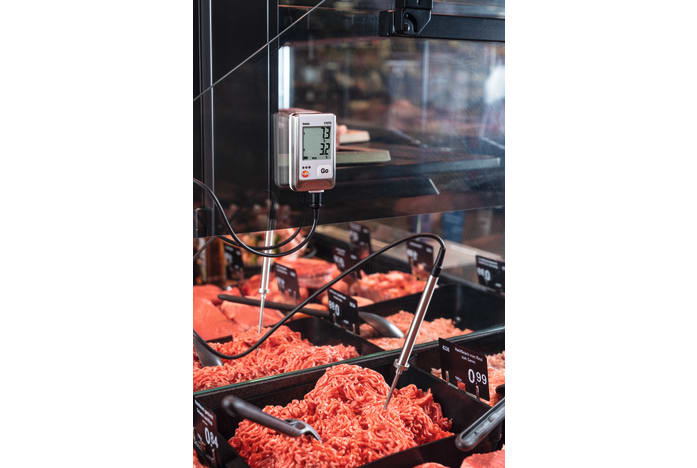 application testo 175T2