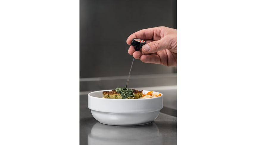 application testo mini thermometer