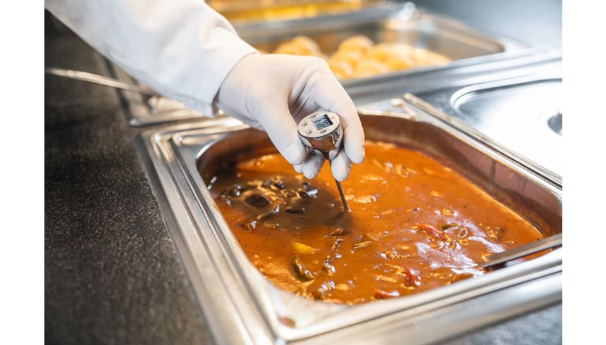 application testo mini thermometer