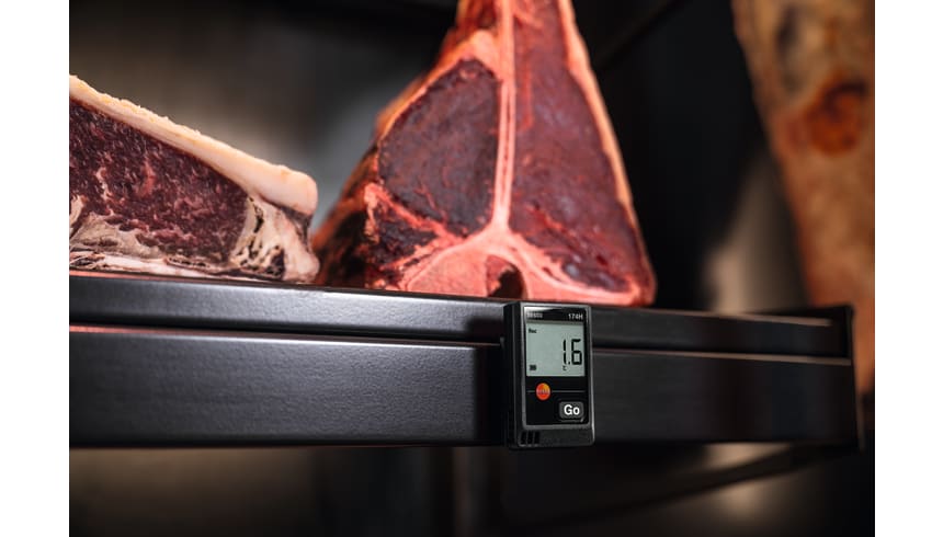 application testo 174H