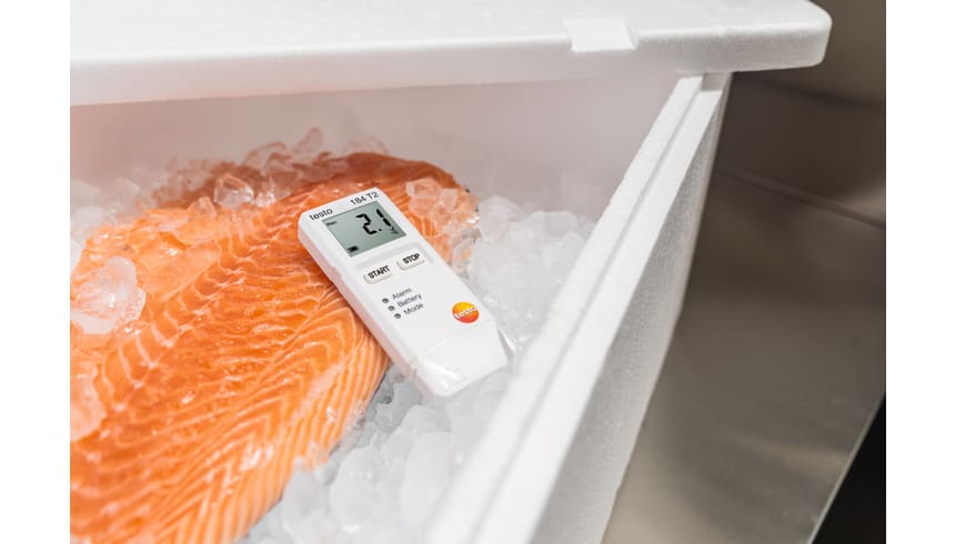 application testo 184 T2