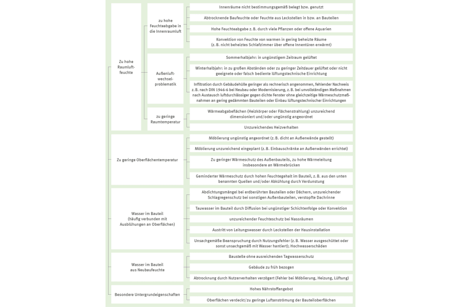 blogartikel-schimmeldetektion-schadensursachen-schimmelbefall