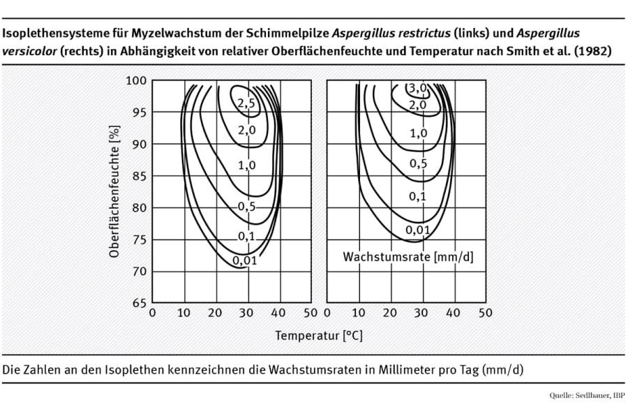 blogartikel-schimmeldetektion-schimmelwachstum-tag
