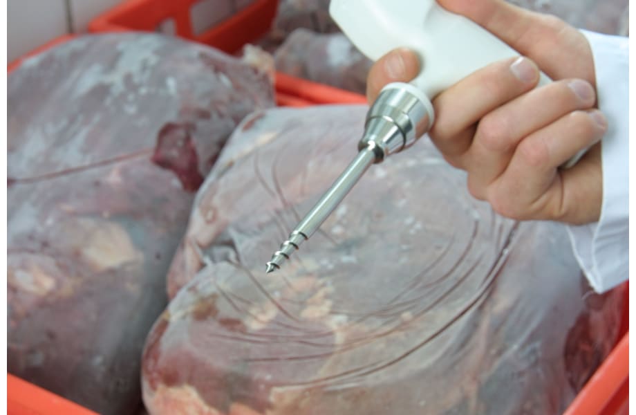 Measuring temperature in frozen food with testo 05 one-hand thermometer