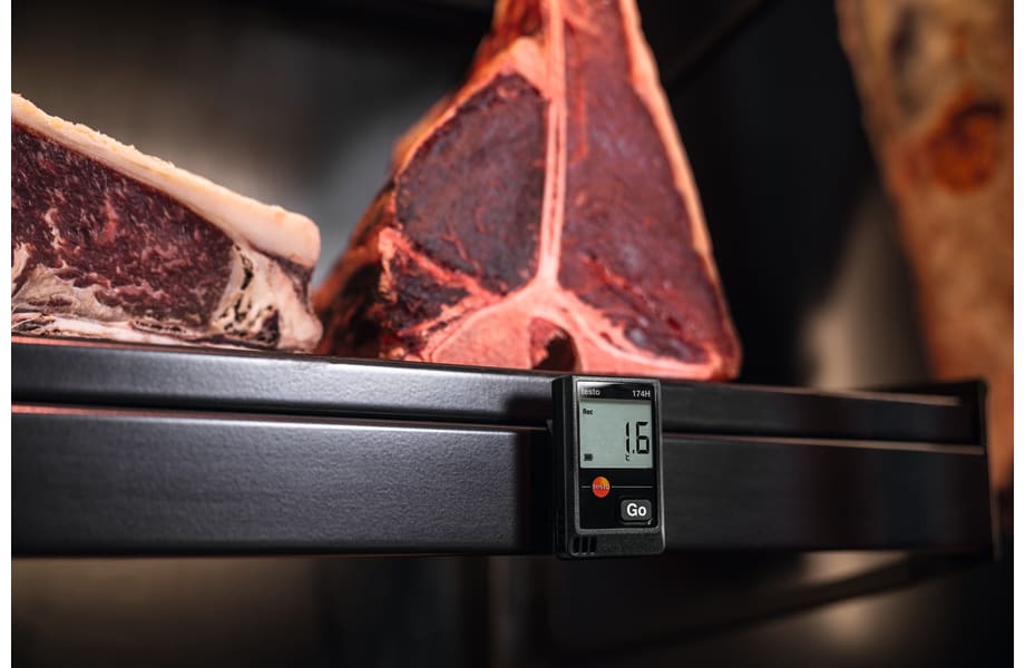 application testo 174H