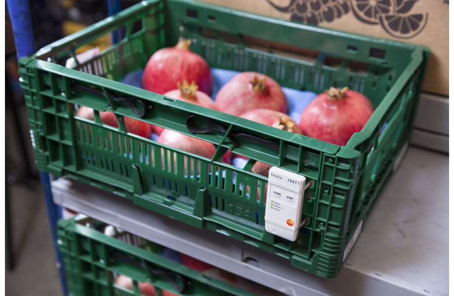 aplicaci&oacute;n testo 184 T1