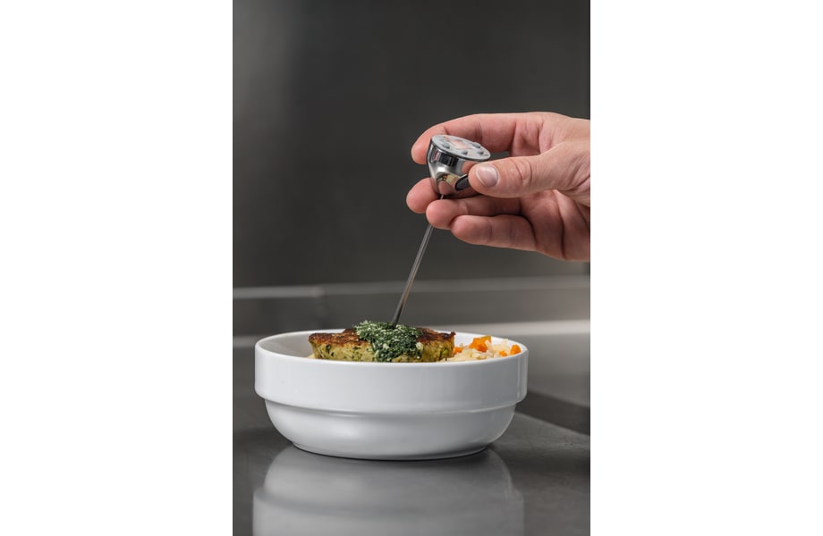 application testo mini thermometer