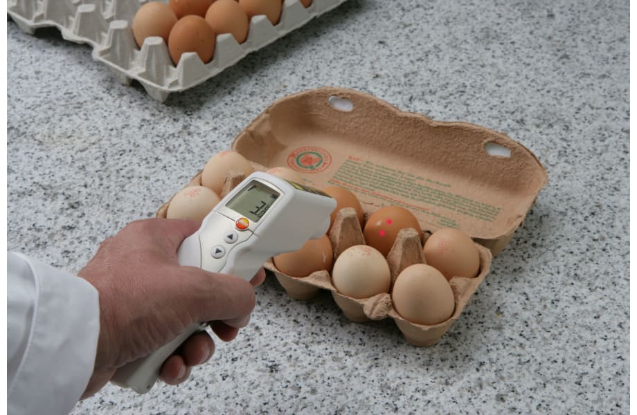 testo 831