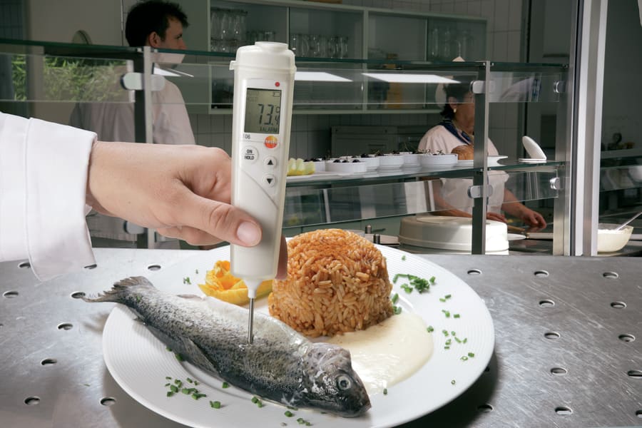 Meat thermometer
