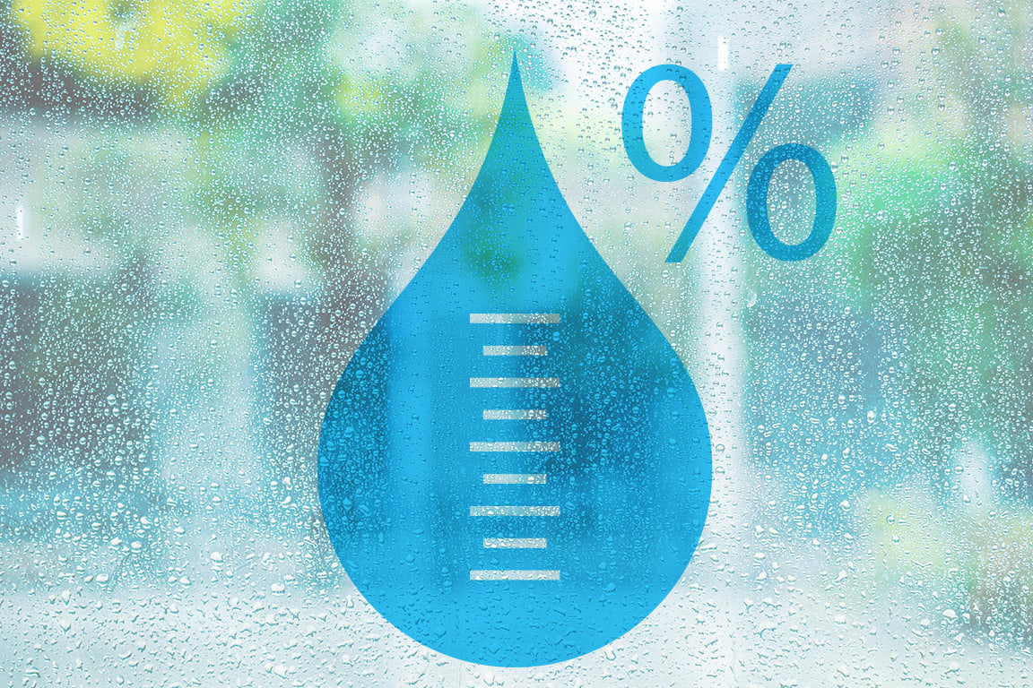 Professional Humidity Meter - Precise Humidity Analysis